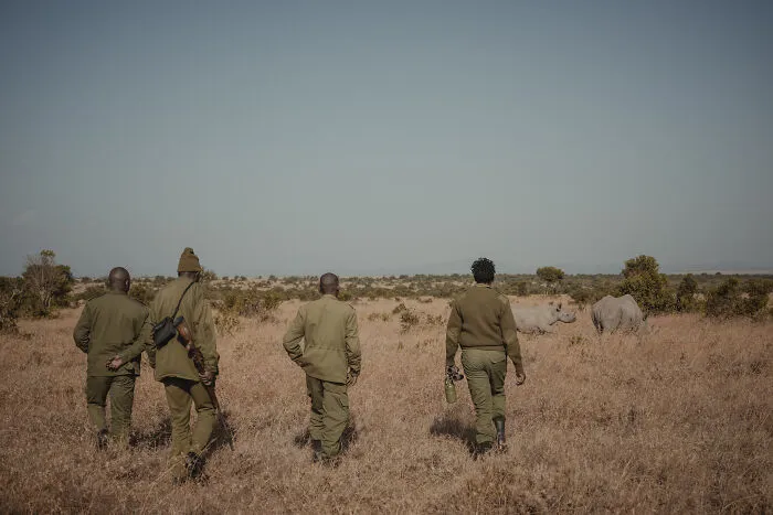 18 Powerful Photos By Mital Patel Showcasing The Last 2 Northern White Rhinos And Their Dedicated Caretakers