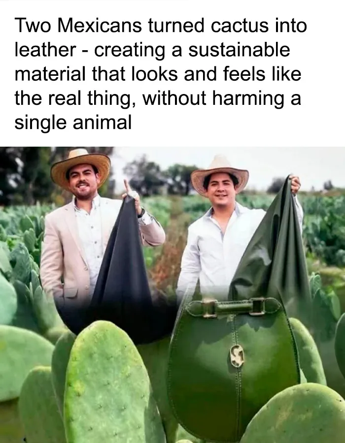Amazing Leather From Cacti!