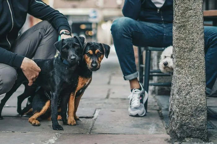80 People Who Move To Europe From The US Share The Culture Shocks They Never Saw Coming