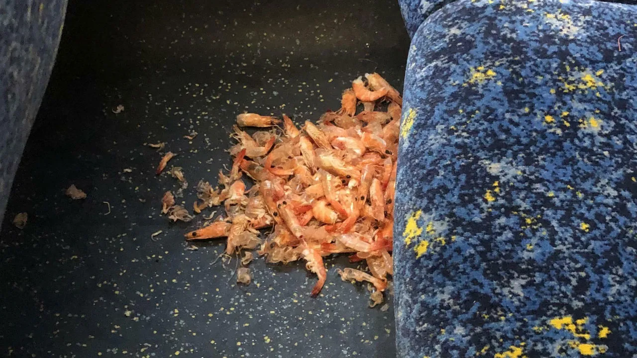 74 Commutes That Went Completely Off The Rails Thanks To Other Passengers