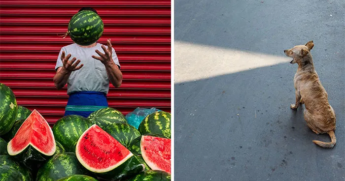 These 23 Street Photos Won The 2026 Macadam Awards’ Attention By Catching The Unexpected