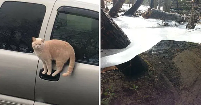 69 Things That Look So Impossible You’ll Probably Need A Second Look