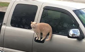 69 Things That Look So Impossible You’ll Probably Need A Second Look