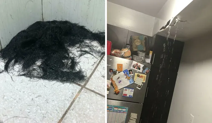 97 Times Bad Roommates Took Their Stupidity To A Whole New Level