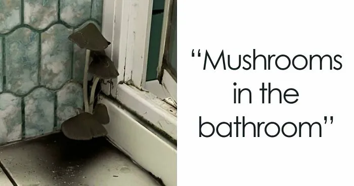 75 Renting And Booking Experiences That Had People Regretting Their Decision Almost Immediately