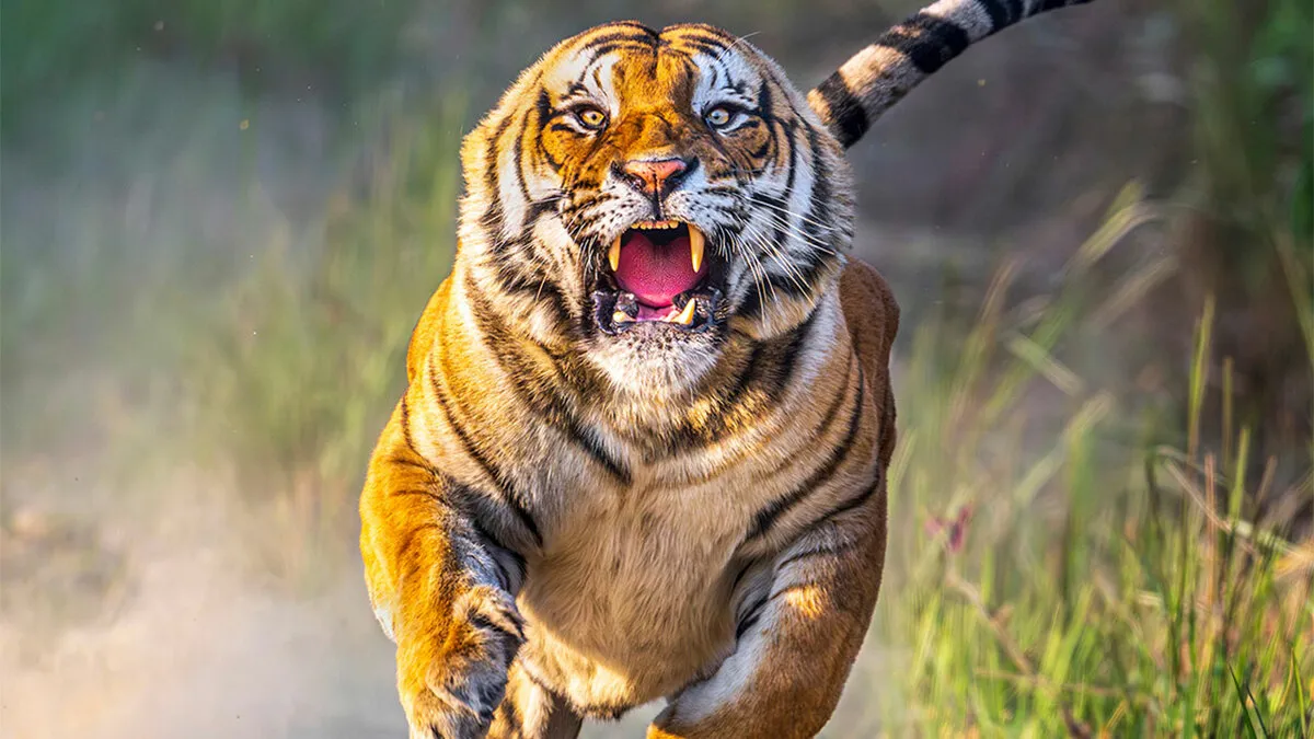 25 Photos Shared By AAP Magazine That Prove The Natural World Is More Than Landscapes And Wildlife