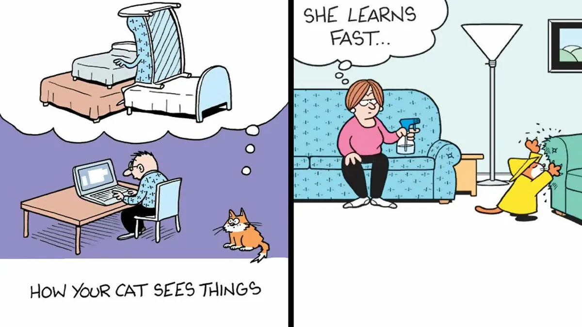 29 New Comics By This Artist About The Strange Reality Of Living With Cats