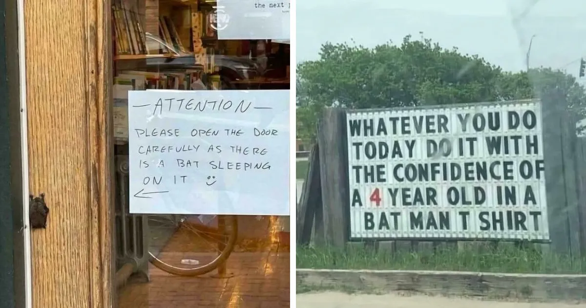 Signs Nobody Asked For: Chaotic Messages Spotted In Public