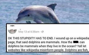 73 People Who Were Wrong In The Comments And Refused To Budge