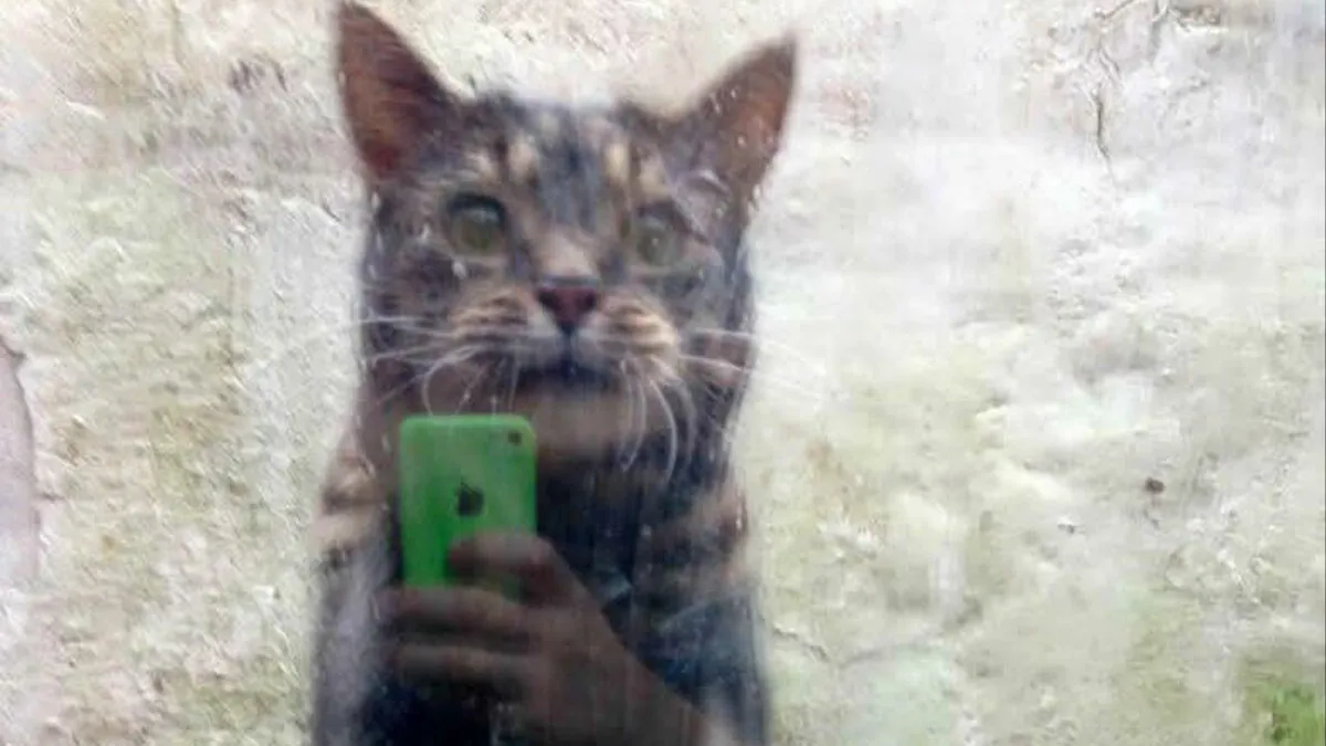 80 Photos That Make Your Brain And Your Eyes Fight About What’s Actually In Them