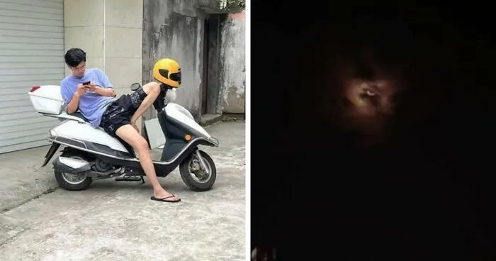 80 Photos That Make Your Brain And Your Eyes Fight About What’s Actually In Them