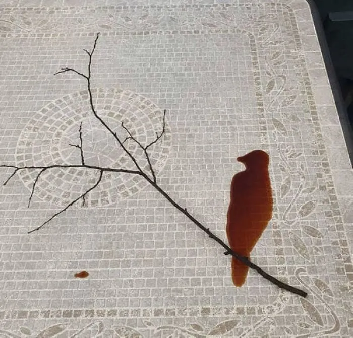 Spilled coffee on a table resembling a bird perched on a branch, creating a confusing perspective