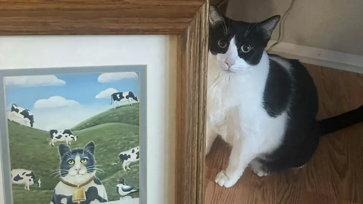 86 Weird And Wonderful Thrift Store Finds That Definitely Weren’t Made For Everyone