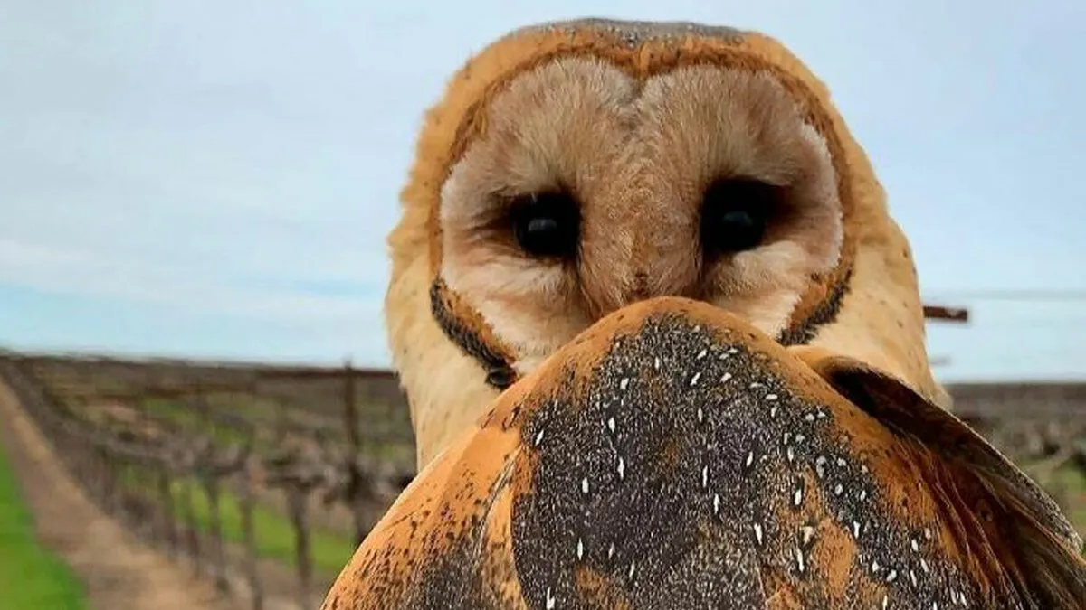106 Incredibly Cool Photos Of Nature That People Couldn’t Stop Staring At (New Pics)