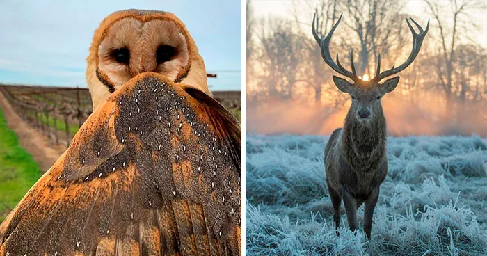 106 Incredibly Cool Photos Of Nature That People Couldn’t Stop Staring At (New Pics)