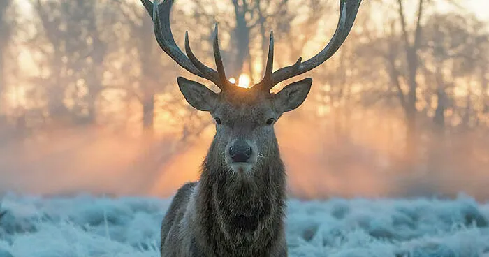 106 Awe-Inspiring Photos That Prove Nature Is Freaking Lit (New Pics)