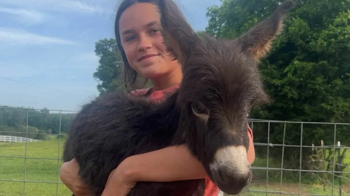 Officer Facing Backlash After Entering Family's Pasture Without Permission And Firing On Their Baby Pet Donkey