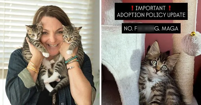 Nonprofit Under Fire After Refusing To Let Specific Group Of People Adopt Kittens: "How Did They Know?"