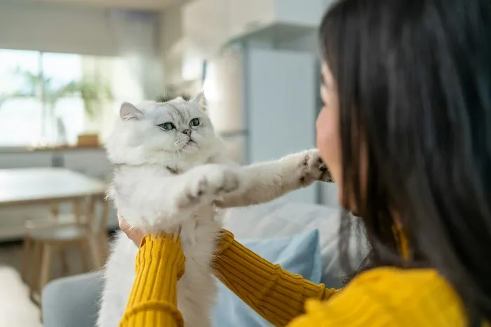 59 Micro-Aggressions People Can’t Even Call Out Without Looking Crazy