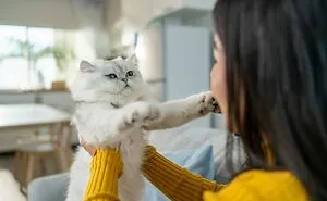“But It’s Every Day”: 59 Micro-Aggressions That Are So Micro People Feel They Can’t Call Them Out