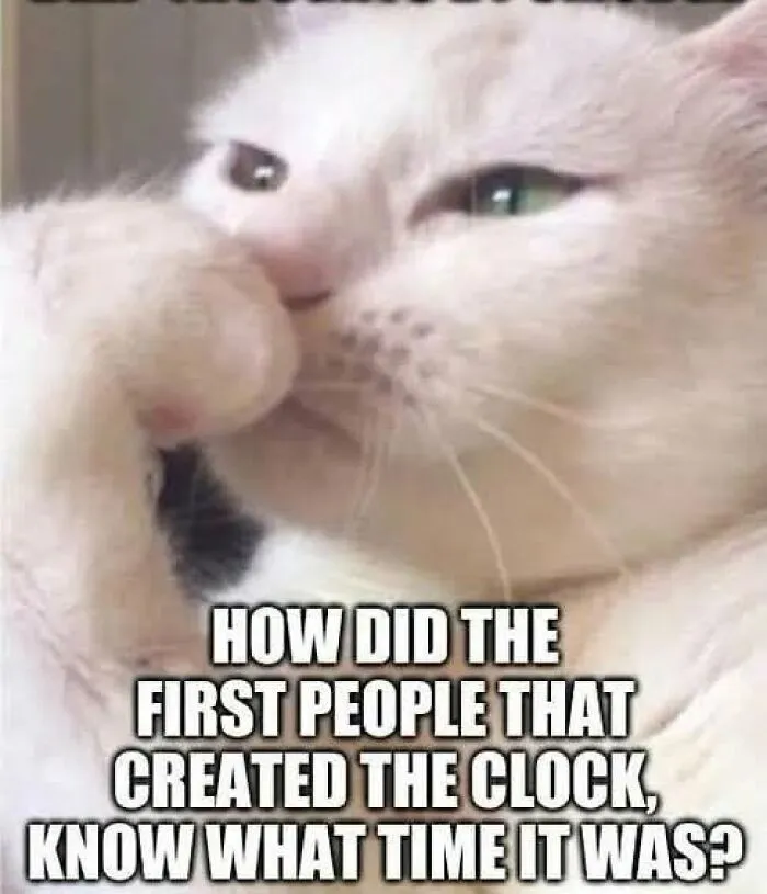Cute-Amusing-Animal-Memes