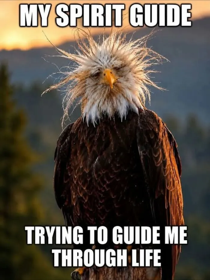 Cute-Amusing-Animal-Memes