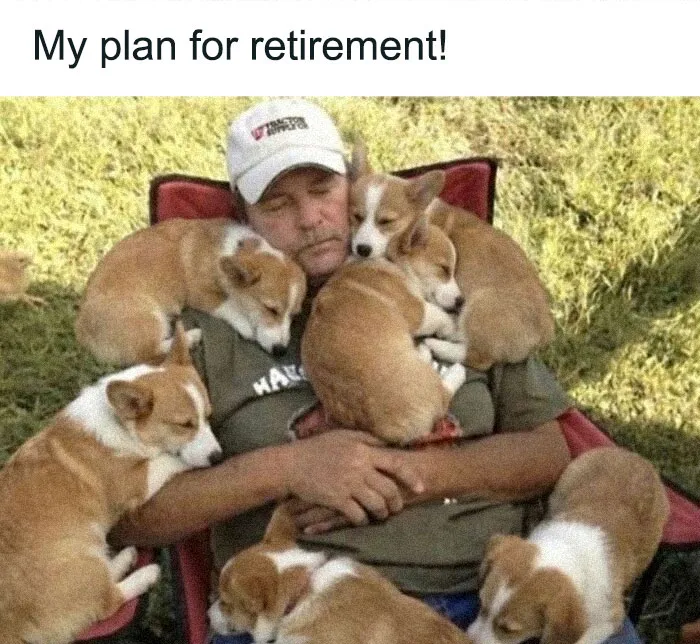 79 Dogs Just Being Dogs, And People Just Making Hilarious Memes Out Of Them