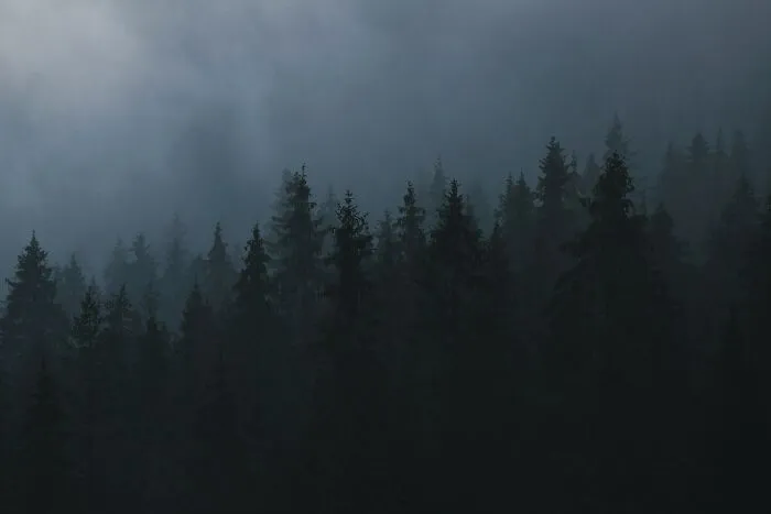 47 Times People Trusted Their Inner Voice Saying "We Need To Leave Now" As It Was Too Loud To Ignore
