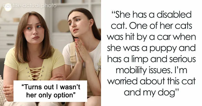 Woman Declines Friend’s Year-Long Cat-Sitting Request, Then Learns She Had Another Option All Along