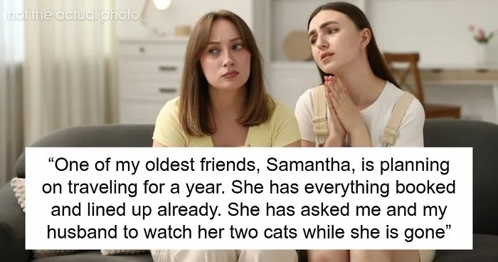 Couple Refuse To Watch Friend’s 2 Cats For A Whole Year, Then Unexpected Twist Proves They’re Right
