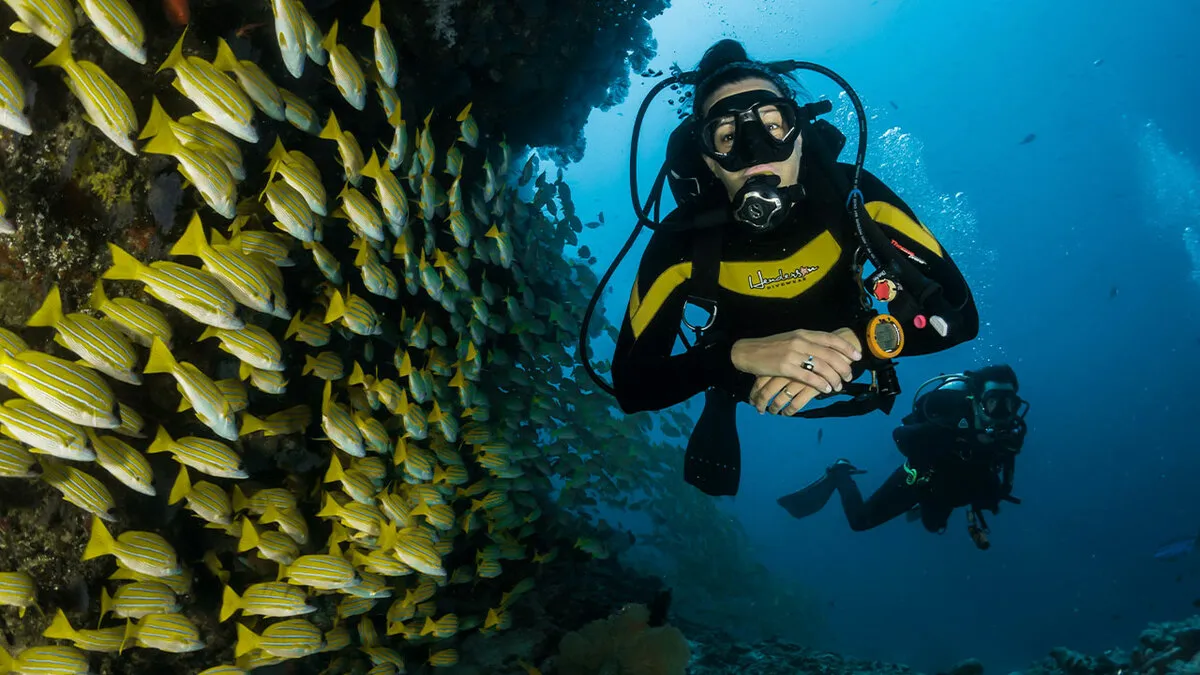 Diver Visits Bizarre Area That's Blacked-Out Shape On Google Maps, Tells The World What's There