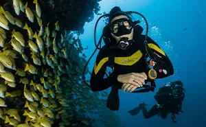 Diver Visits Bizarre Area That's Blacked-Out Shape On Google Maps, Tells The World What's There