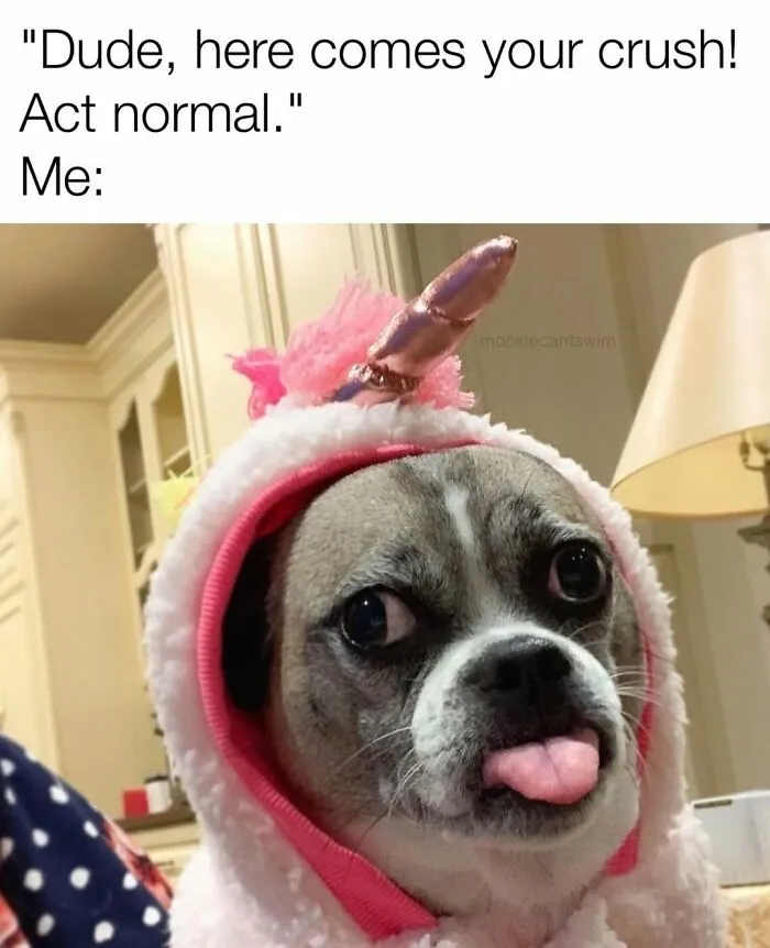 Cute dog wearing a unicorn hood sticking its tongue out in a funny, relatable meme.