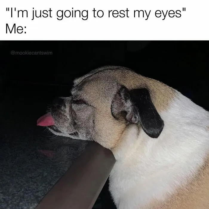 Funny dog owner meme of a pup with a ridiculous expression resting its chin and tongue on a counter.