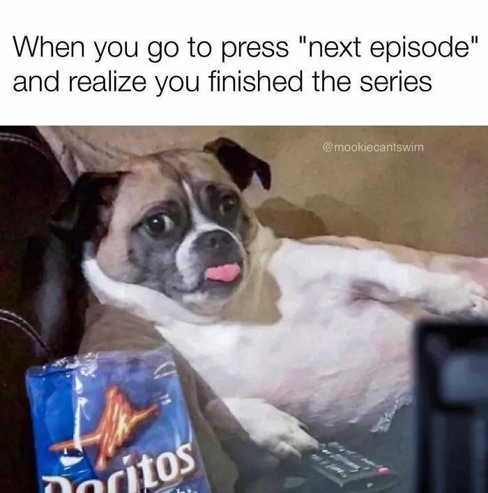 Relatable dog owner meme of a pup holding a remote control next to a bag of chips.