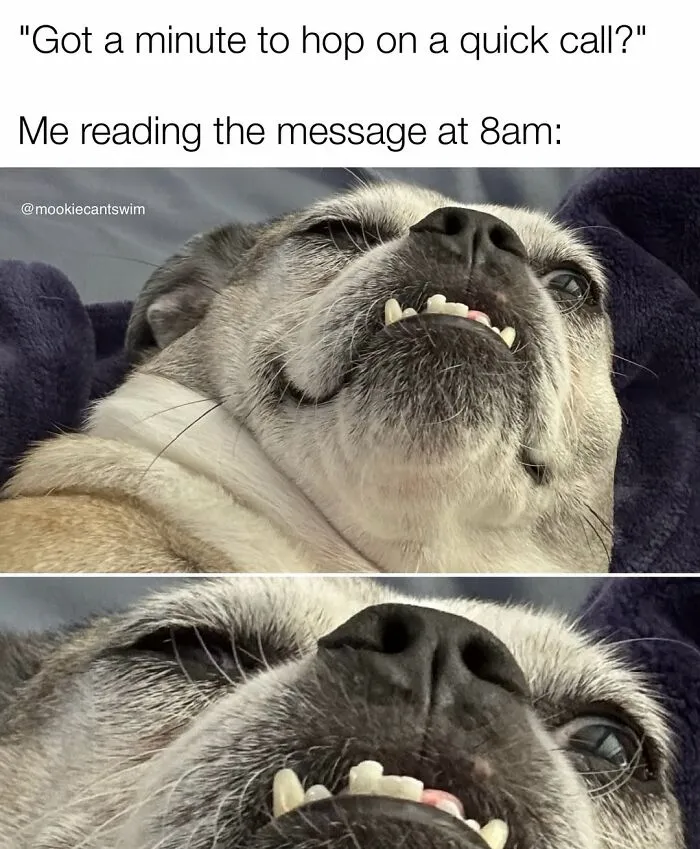 Relatable memes showing a funny dog's wide-awake, anxious morning face in two close-up photos.