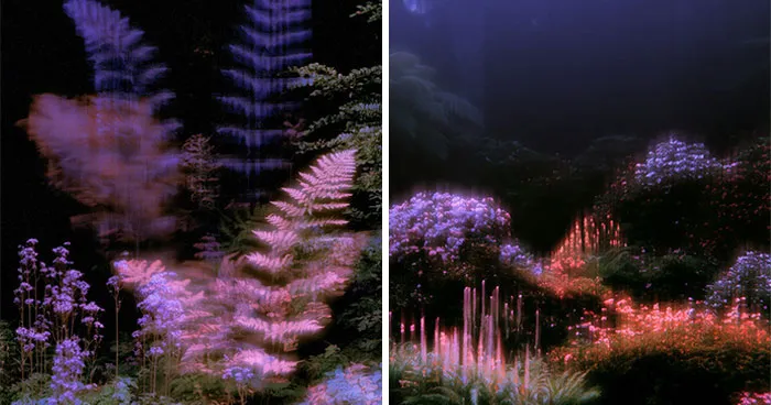 28 Ethereal Images By Lela Amparo That Turn Real Landscapes Into Immersive Art