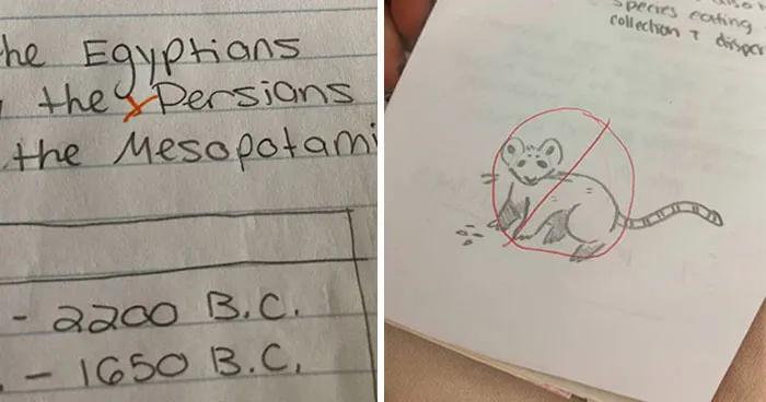 39 Teachers So Infuriating, Their Students Just Had To Shame Them Online