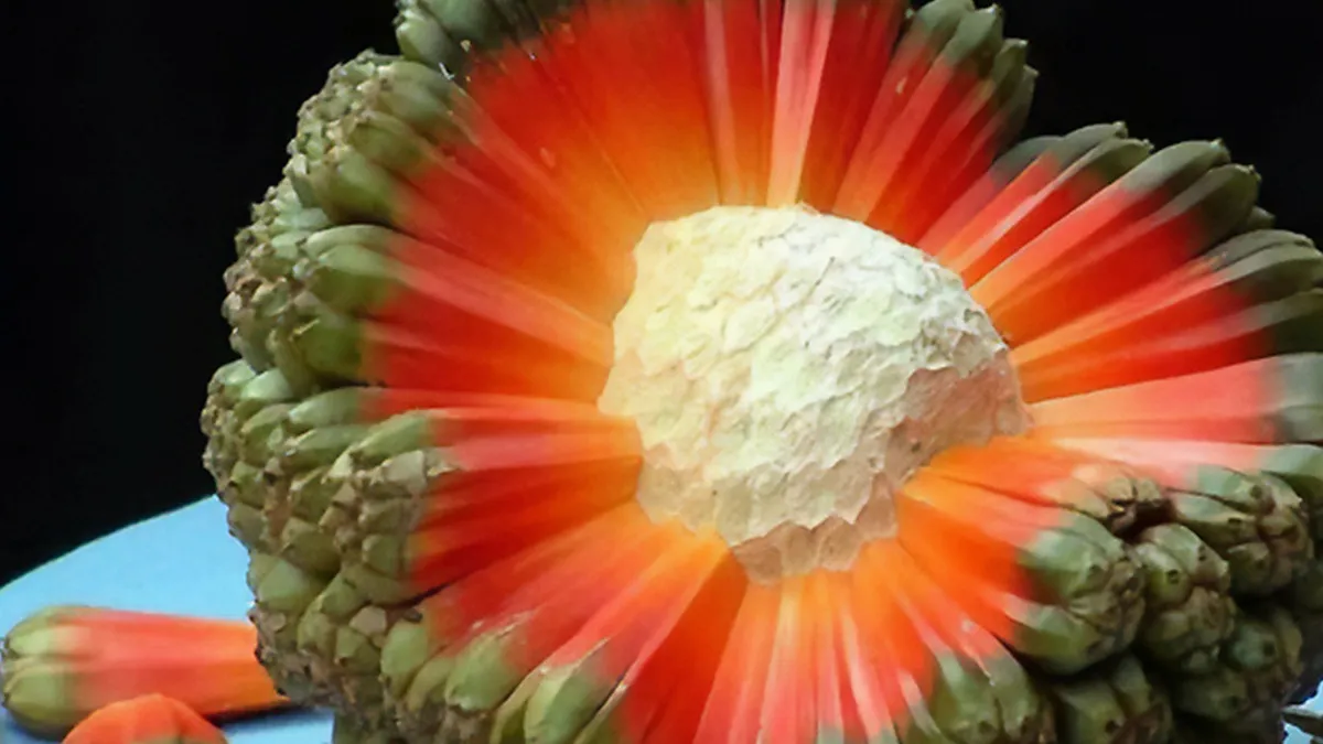 If You Can’t End Your Day Without Learning Something New, Here Are 68 Interesting Facts