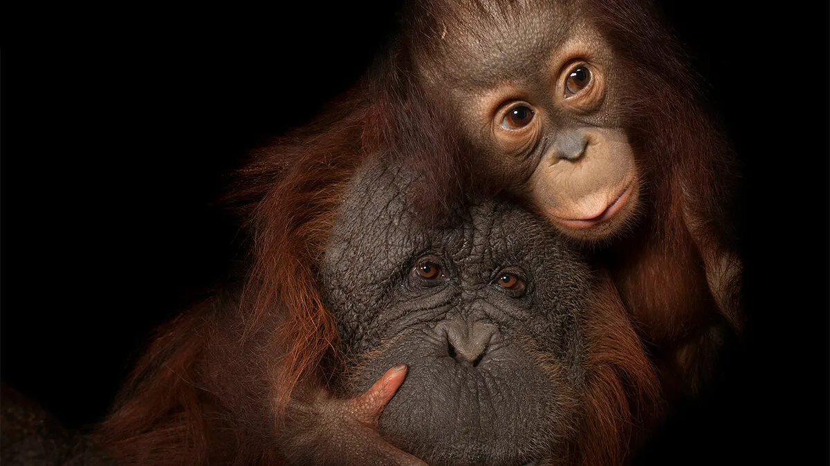Joel Sartore Spent 20 Years Photographing Animals, Here Are 31 Of His Best Shots