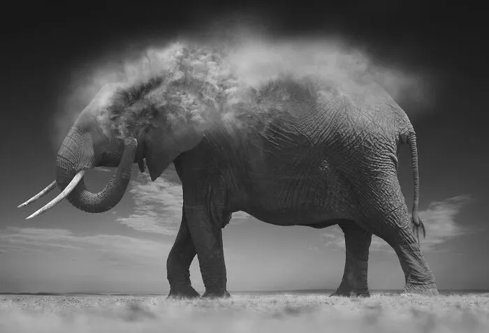 From Earth To Dust