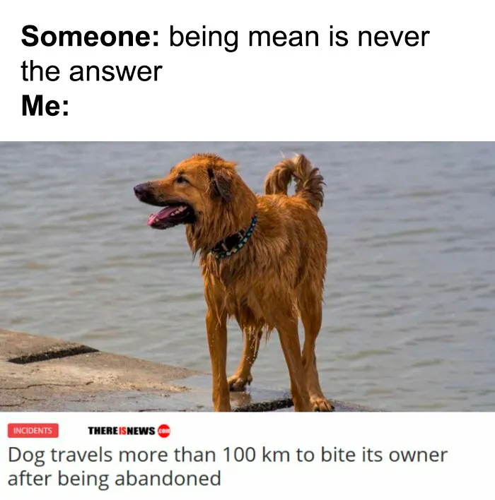 134 Memes That Make A Strong Case For Animals Being The Funniest Part Of The Internet