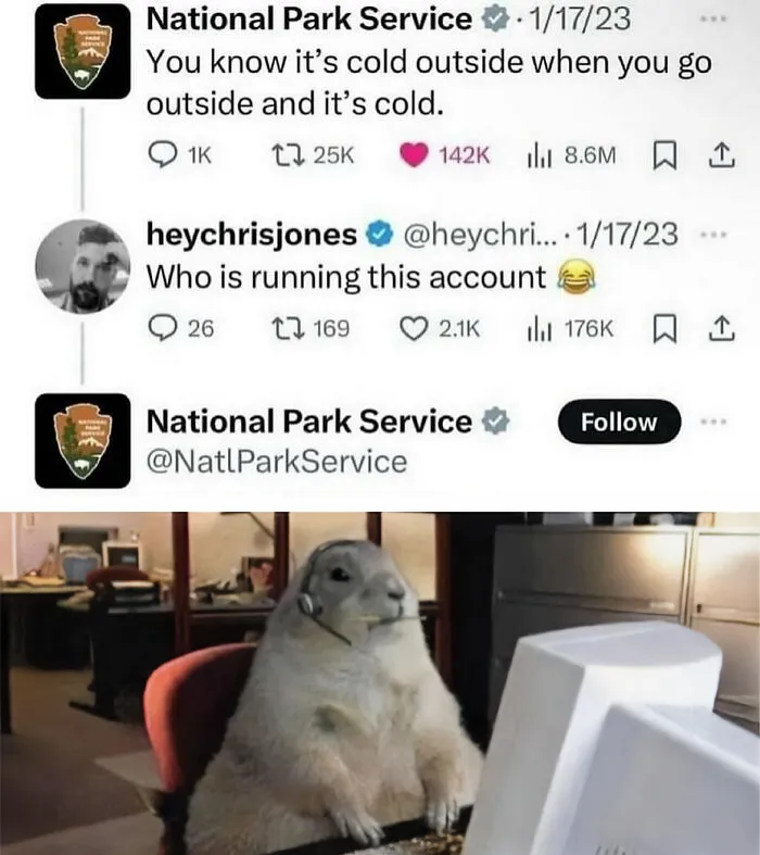 134 Memes That Make A Strong Case For Animals Being The Funniest Part Of The Internet