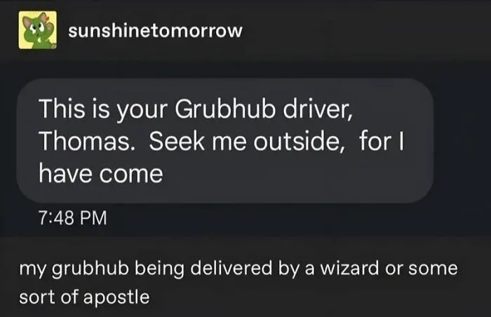 The Wizard's Visit