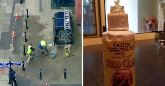"You Had One Job": 51 People Who Had One Simple Task And Managed To Mess It Up Completely