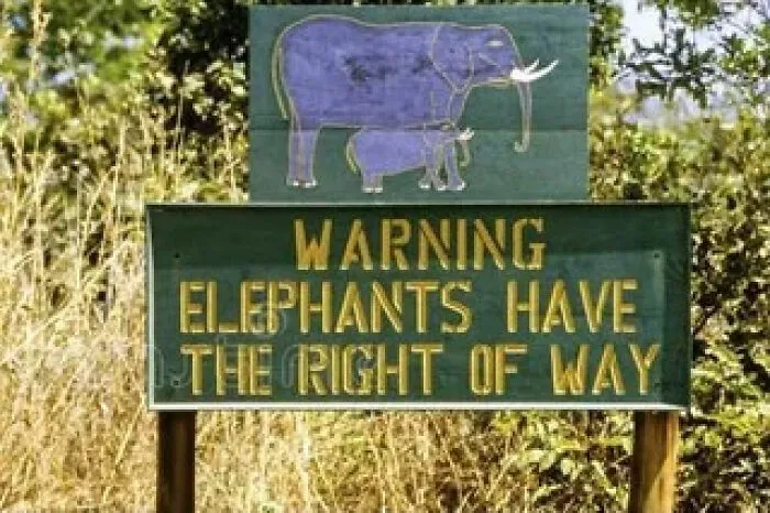 A green road sign with elephants painted on top, illustrating signs from around the world.
