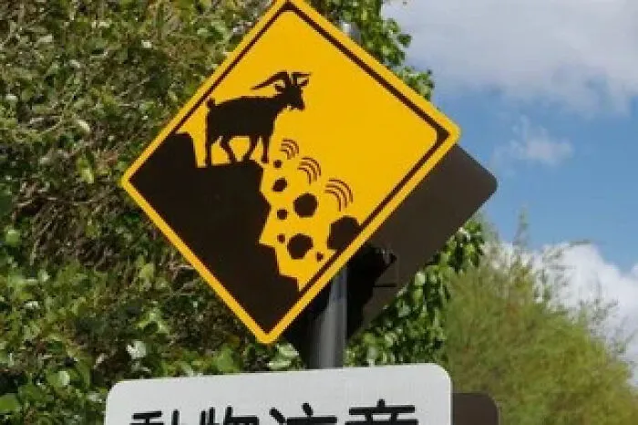 A yellow warning sign depicting a goat causing a rockslide, showing signs from around the world.