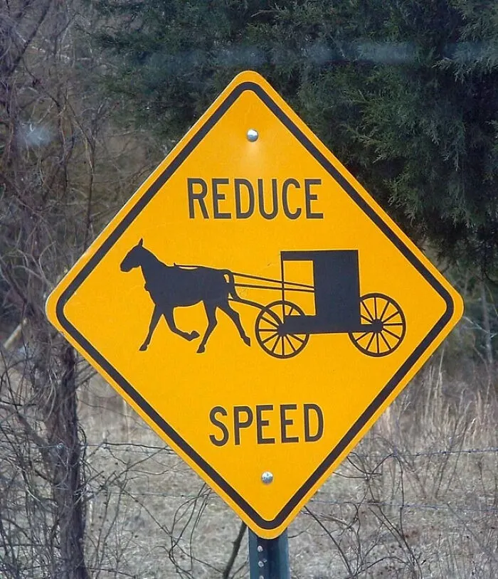 A yellow diamond-shaped road sign showing a horse and buggy silhouette with the text Reduce Speed.