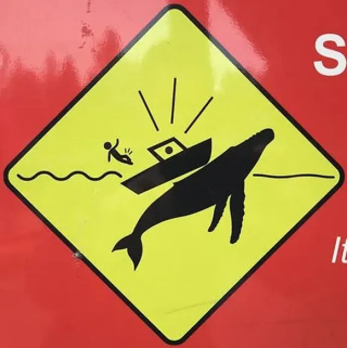 Funny yellow road sign showing a whale hitting a boat with a person falling out.
