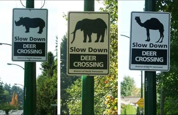 A funny mistake on road signs featuring a rhino, an elephant, and a camel labeled as deer crossing.